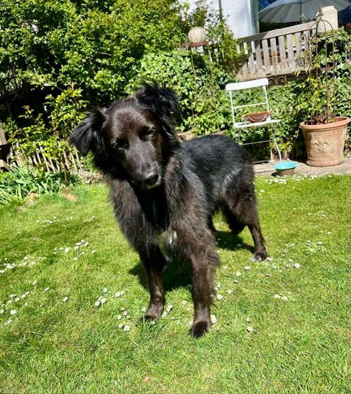 Kahu ist angekommen – vom Verlassenwerden ins Familienglück