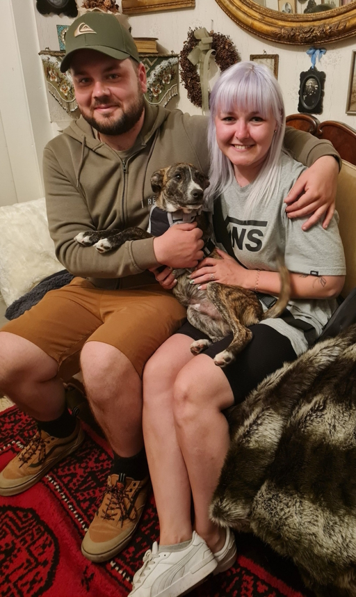 Happy End für Pincho: Galgo-Podenco-Mischling kämpft sich zurück ins Leben