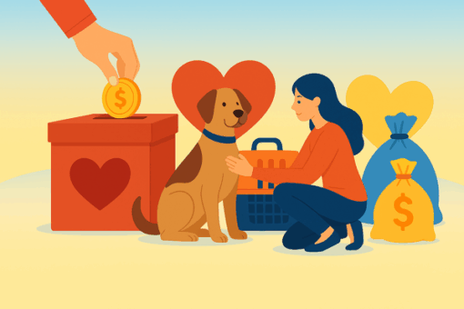 Hilfe, die ankommt: SPENDEN und mehr für gerettete Hunde